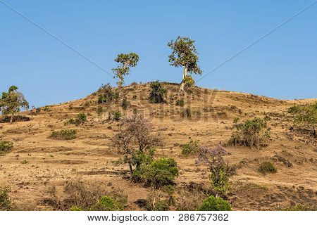 Landscape View Near The Blue Nile Falls, Tis-isat In Ethiopia, Africa