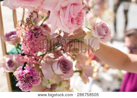 Florist Decorator Workflow, Woman Hands Decorating Wedding Arch With Fresh Flowers. Event Decoration