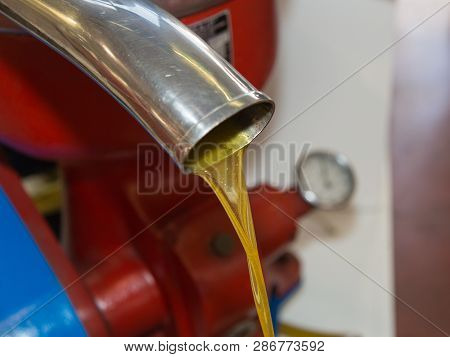 Flowing Oil From Steel Pipe: Closeup View Of Olive Oil Mill.