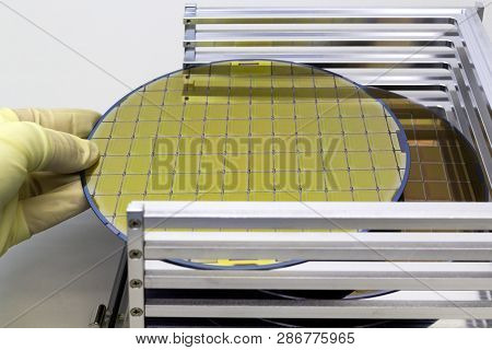 Silicon Wafers In Steel Holder Box Take Out By Hand In Gloves- A Wafer Is A Thin Slice Of Semiconduc