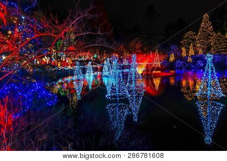 Blue Red Christmas Trees Lights Reflection Lake Van Dusen Garden Vancouver British Columbia Canada
