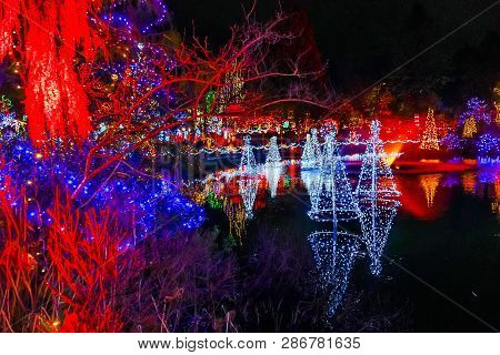 Blue Red Christmas Trees Lights Reflection Lake Van Dusen Garden Vancouver British Columbia Canada