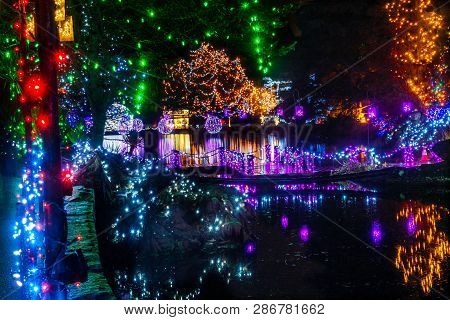 Blue Red Green Christmas Trees Lights Reflection Lake Van Dusen Garden Vancouver British Columbia Ca