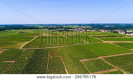 Aerial View Of Vineyards In Monnieres, Near Nantes, France