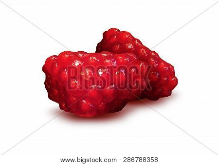 Ripe Red Granet Or Garnet. Fruits Of Red Ripe Pomegranate Isolate On The White Background. Vegetaria