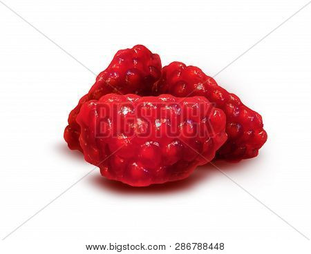 Ripe Red Granet Or Garnet. Fruits Of Red Ripe Pomegranate Isolate On The White Background. Vegetaria