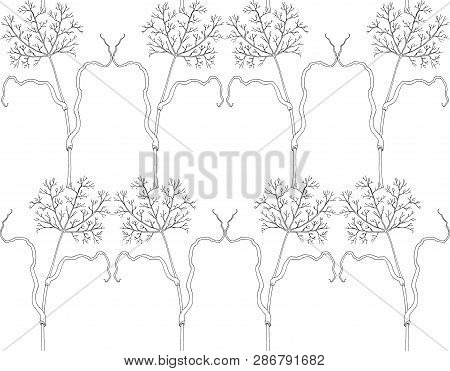 Seamless Black And White Illustration. Dried Flower Pattern.