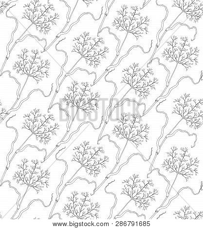 Seamless Black And White Illustration. Dried Flower Pattern.