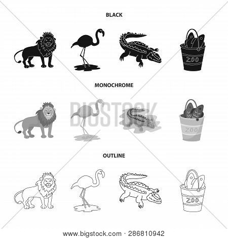 Isolated Object Of Nature  And Fun  Logo. Set Of Nature  And Entertainment Stock Vector Illustration