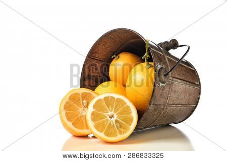 A bucket on its side with fresh picked lemons spilling onto the table withh reflectons. 