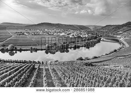 Famous Moselle Sinuosity In Trittenheim, Germany In Black And White