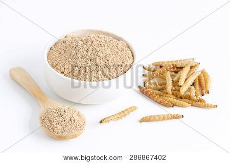 Bamboo Worm Powder. Bamboo Caterpillar Flour For Insects Eating As Food Edible Items Made Of Cooked 