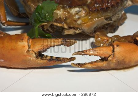 Crab