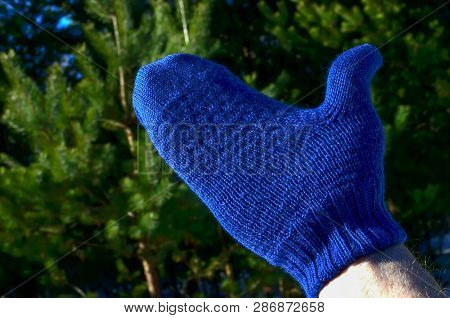 Warm Winter Glove On A Background Of Green Trees In The Forest And Blue Sky. The Concept Of The Comp