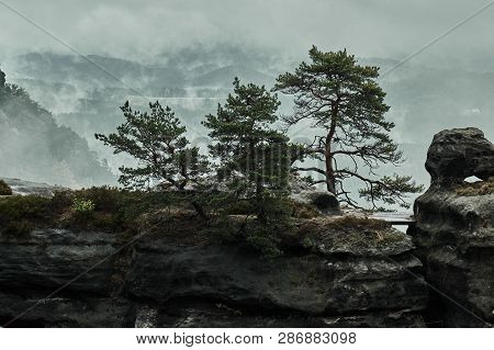 Misty Foggy Landscape Of The Pravcicka Gate (pravcicka Brana) The Largest Natural Sandstone Arch In 