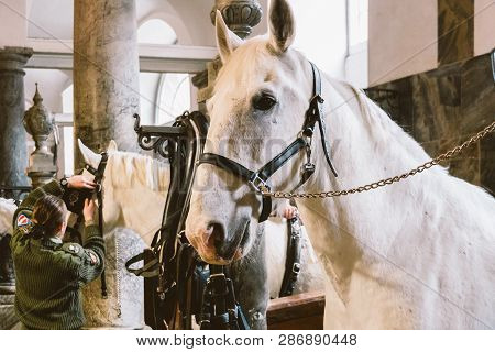 February 20, 2019.royal Stable In Denmark Copenhagen In Territory Christiansborg Slot. Man Young Wom