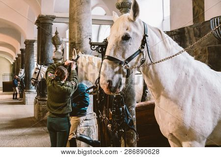 February 20, 2019.royal Stable In Denmark Copenhagen In Territory Christiansborg Slot. Man Young Wom