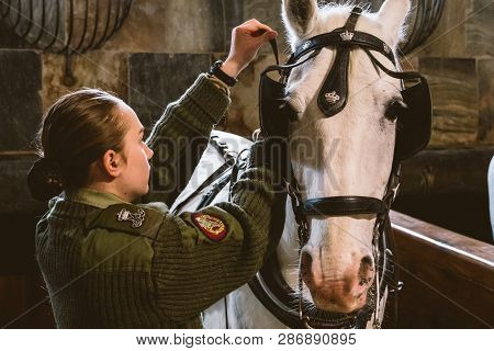 February 20, 2019.royal Stable In Denmark Copenhagen In Territory Christiansborg Slot. Man Young Wom