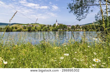 Minheim On The Moselle Rhineland-palatinate Germany Picture