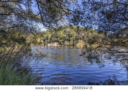 Small Lake With Reflection In Terrassa, Barcelona, Spain