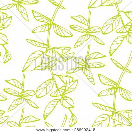 Floral Seamless Pattern. Hand Drawn Illustration. Fullsize Raster Atrwork.