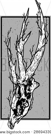 Carcass Dead Vector Art Skull Design Illustration