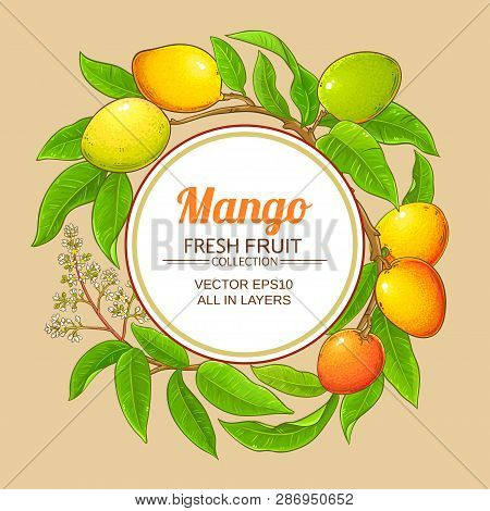 Mango Branches Vector Frame On Color Background