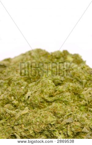 Bud