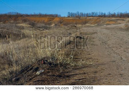 Morning Winter Snowless Landscape