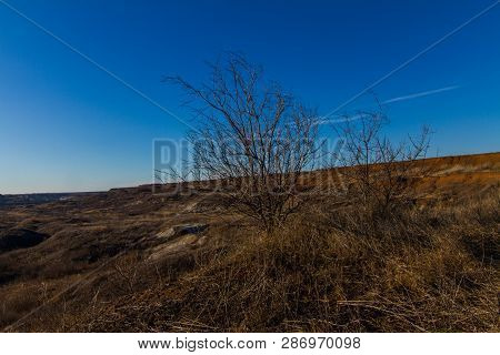 Morning Winter Snowless Landscape