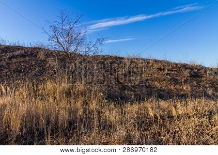 Morning Winter Snowless Landscape