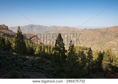 Scenic Mountanious Landscape In Grand Canary, Canary Islands, Spain .