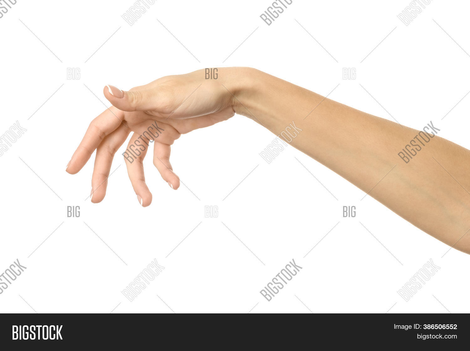 Hand Picking, Holding Image & Photo (Free Trial) Bigstock