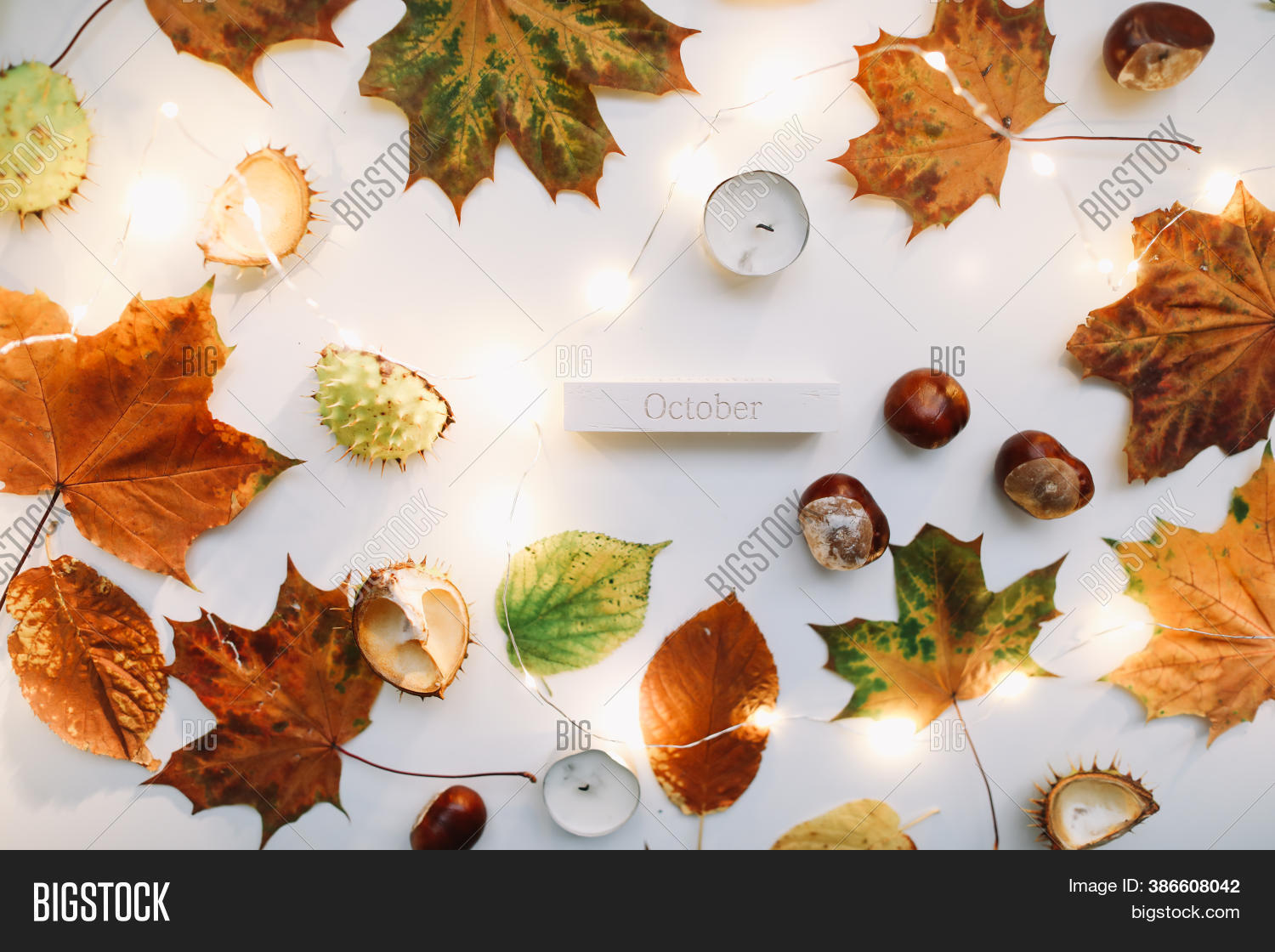 Autumn Composition. Image & Photo (Free Trial) | Bigstock