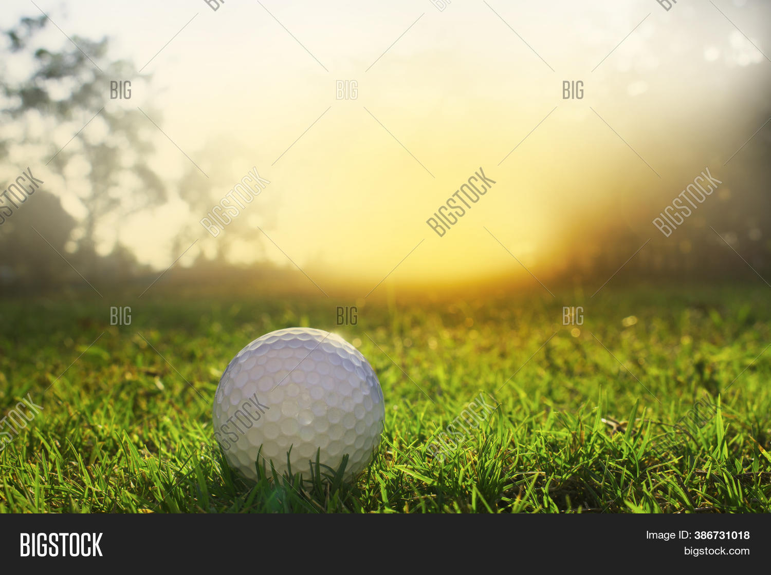 Golf Balls On Green Image & Photo (Free Trial) Bigstock