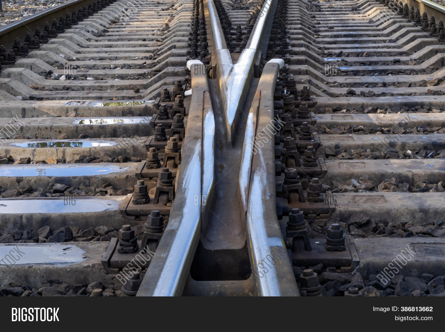 Railroad. Railroad Image & Photo (Free Trial) Bigstock