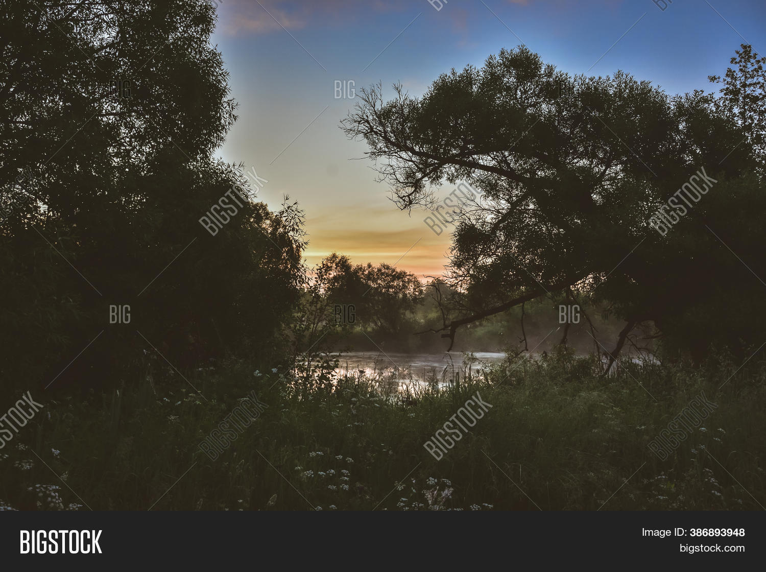Morning Fog Over Lake Image & Photo (Free Trial) | Bigstock