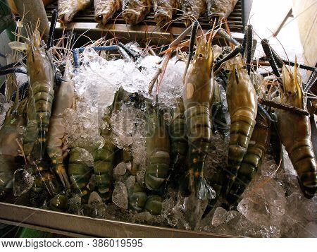 Amphawa, Thailand, January 23, 2016: Fresh Seafood At Amphawa Floating Market