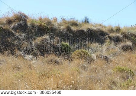View Of A Rural Landscape In Costa Da Caparica