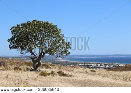 View Of A Rural Landscape In Costa Da Caparica, Portugal