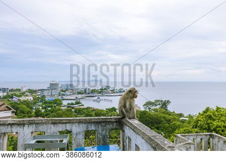 A Monkey Sitting On A Wall With A View Of The Sea And Sky Behind Khao Sam Muk In Chonburi Province I