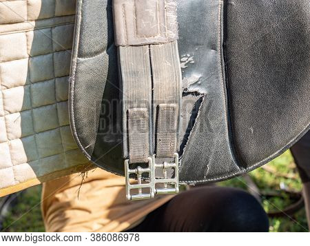 Changing And Setting The Horse English Saddle. Open Saddle Girth. Children Riding School