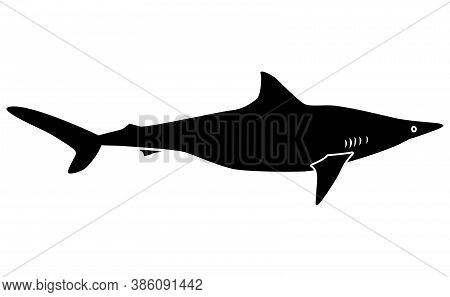 Shark Silhouette On White Background Illustration Eps10.
