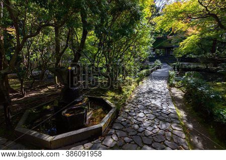 Temple In The Middle Of The Forest In Kyoto (japan)