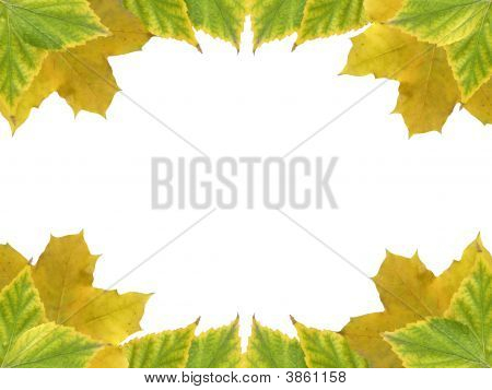 Blätter frame