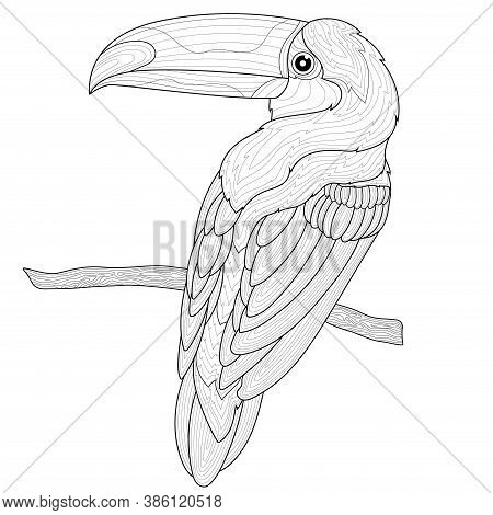 Toucan On A Branch. Bird.coloring Book Antistress For Children And Adults. Zen-tangle Style.black An