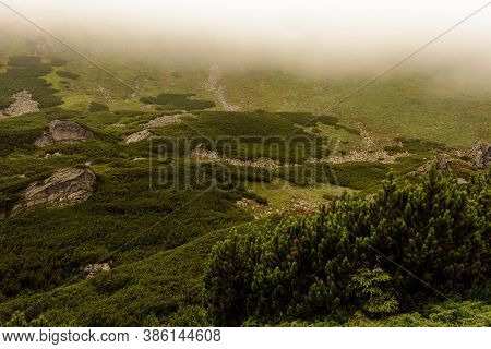 Carpathian Mountains In Summer Fog, The Area Near Lake Brebeneskul, Rain And Fog In The Mountains.