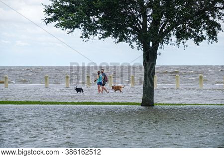 New Orleans, Louisiana/usa - 9/15/2020: Couple With Dogs Wading In Flooded Street On Lake Pontchartr