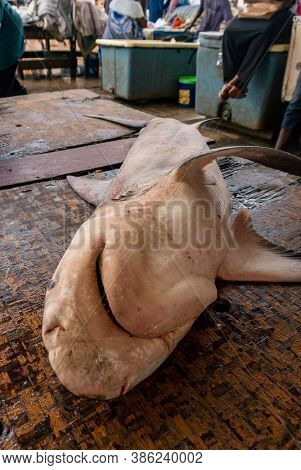 Shark On The Table In Fish Market In Dar Es Salaam, Tanzania