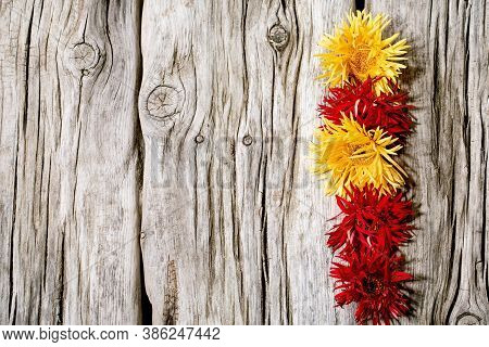 Red And Yellow Gerbera Spider Flowers In Row Composition Creative Layout Over Old Wooden Background.